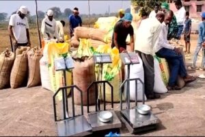 1811-RJD-DHAN-KHARIDI.-NF2-1024x683-1-768x512-1-300x200 बायोमेट्रिक मशीन के जरिए तेजी से हो रही धान की खरीदी, धान का उठाव कम होने से धान खरीदी हो रही है प्रभावित