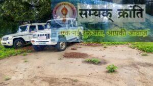 d-5-300x169 वन विभाग की छापामार कार्यवाही इमारती लकड़ी साल जप्त और मामला ठंडा