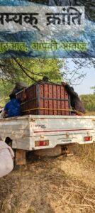 5-134x300 बाघ का सफल रेस्क्यू, मार्च माह से भटक रहा था बाघ,कसडोल के रिहाईसी इलाके में चार दिन से रहा मौजूद, अब गुरु घासीदास टाइगर रिजर्व की बढ़ाएगा शोभा