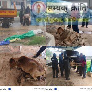 1-10-300x300 मानवजाति में अगर मानवीय संवेदना नही ,मनुष्य में मनुष्यता का आचरण नही तो जीवन व्यर्थ है: एस. के.‘रूप’