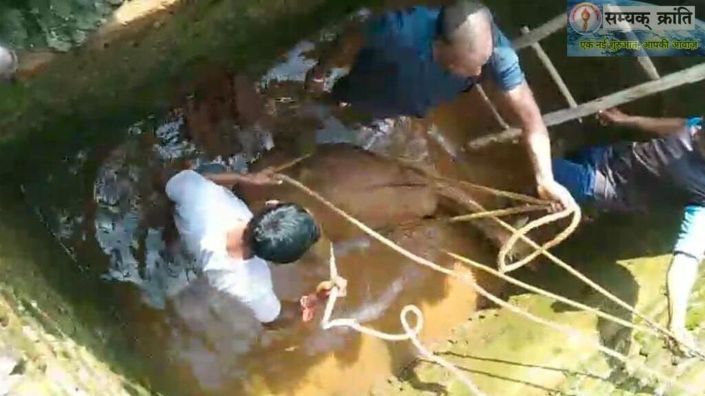 8-3-1024x575 वन मंडल मनेंद्रगढ़ के वन परिक्षेत्र कुंवारपुर में चीतल की हुई दर्दनाक मौत: आवारा कुत्तों के हमले के बाद सेप्टीक टैंक में गिरकर हुई मौत