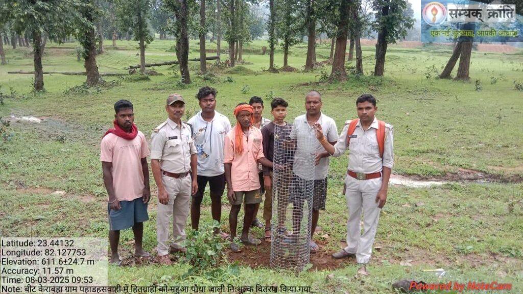 6-1024x576 पूर्ववर्ती सरकार के द्वरा खाली-बंजर पड़े गोठानों में शुरू हुआ महुआ बचाओ अभियान