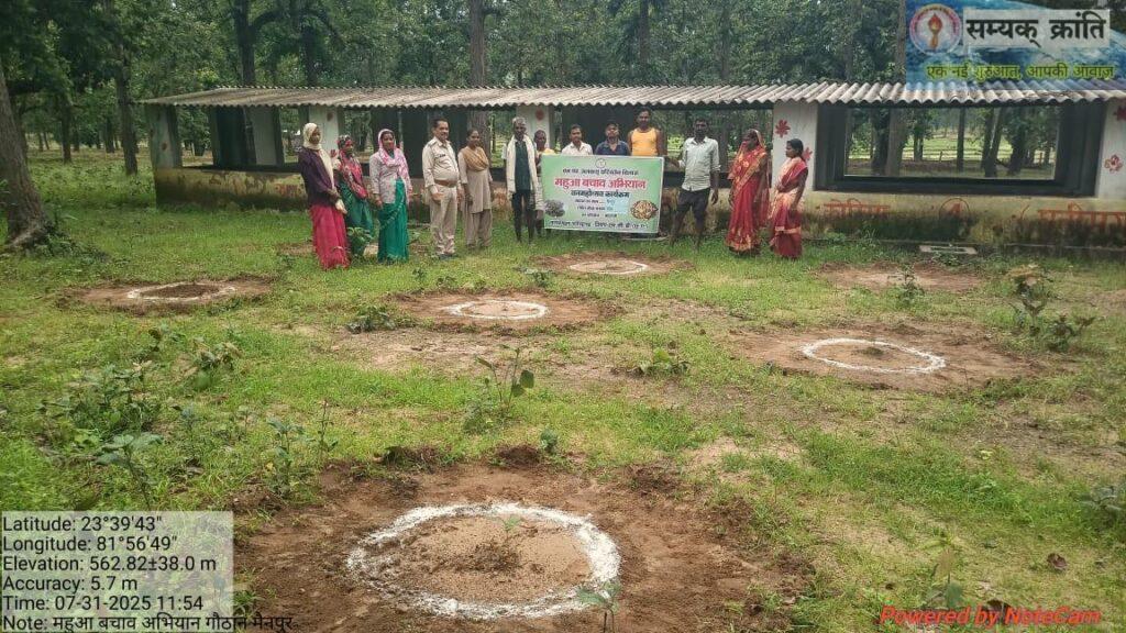 8-1024x576 पूर्ववर्ती सरकार के द्वरा खाली-बंजर पड़े गोठानों में शुरू हुआ महुआ बचाओ अभियान
