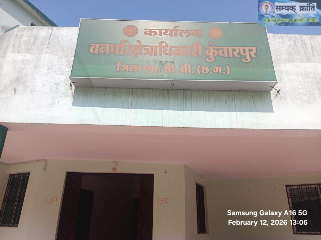 WhatsApp-Image-2026-02-12-at-1.13.08-PM-1024x768 भालू का आतंक खत्म: वन विभाग का सफल रेस्क्यू, युवा नर भालू सुरक्षित जंगल में छोड़ा गया