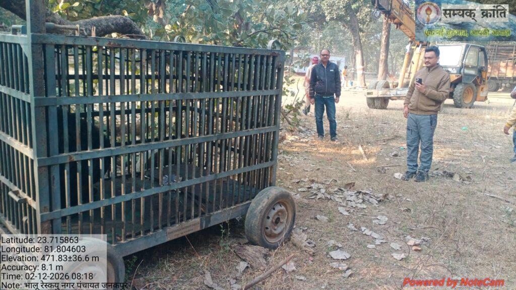 WhatsApp-Image-2026-02-12-at-1.13.09-PM-1024x576 भालू का आतंक खत्म: वन विभाग का सफल रेस्क्यू, युवा नर भालू सुरक्षित जंगल में छोड़ा गया