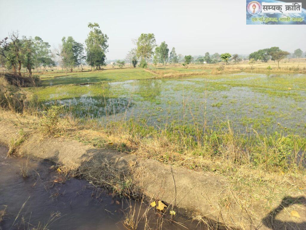 WhatsApp-Image-2026-04-26-at-4.21.41-PM-2-1024x768 कोरिया जल संसाधन विभाग का 'इंजीनियरिंग फेल्योर': एक तरफ कलेक्टर सहेज रही हैं बूंद बूंद पानी इधर जल संसाधन बहा रहा गेज की मर्यादा