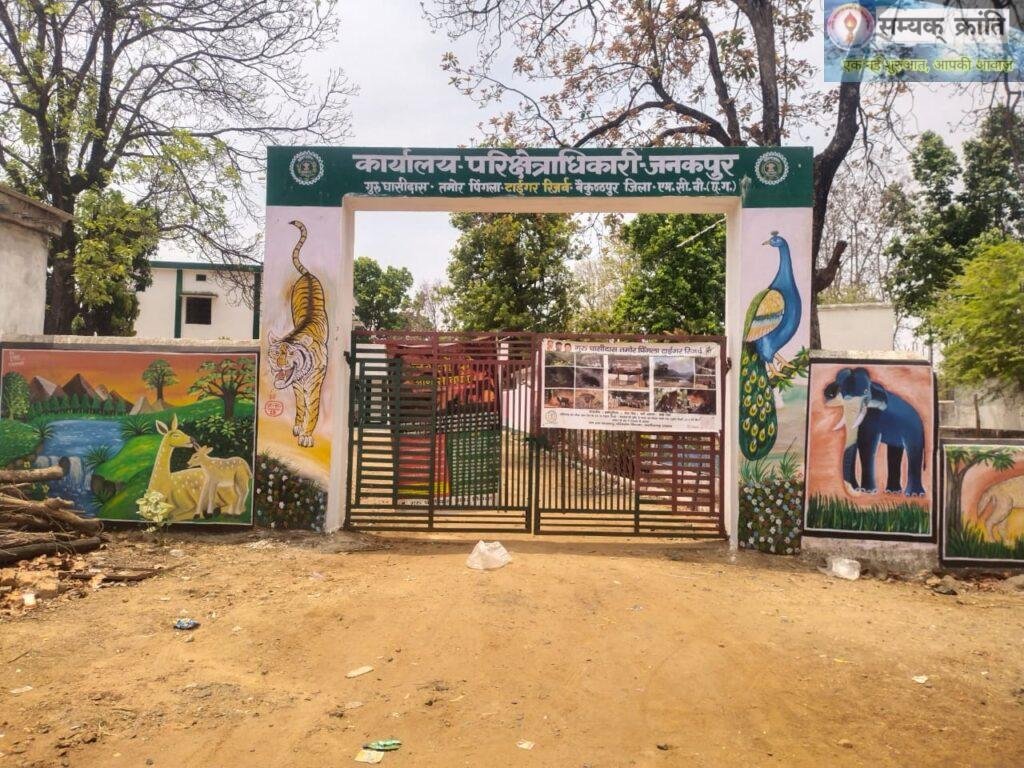 b1-1024x768 जंगलों में फिर गूंजेगी बाघों की दहाड़