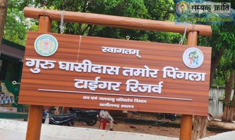 ba जंगलों में फिर गूंजेगी बाघों की दहाड़
